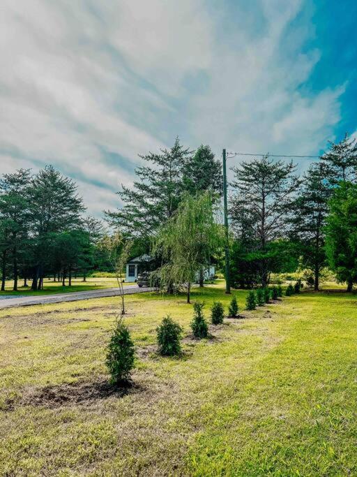 Southern Charm 3Br Fire Pit Pool Table 7Beds セバービル エクステリア 写真